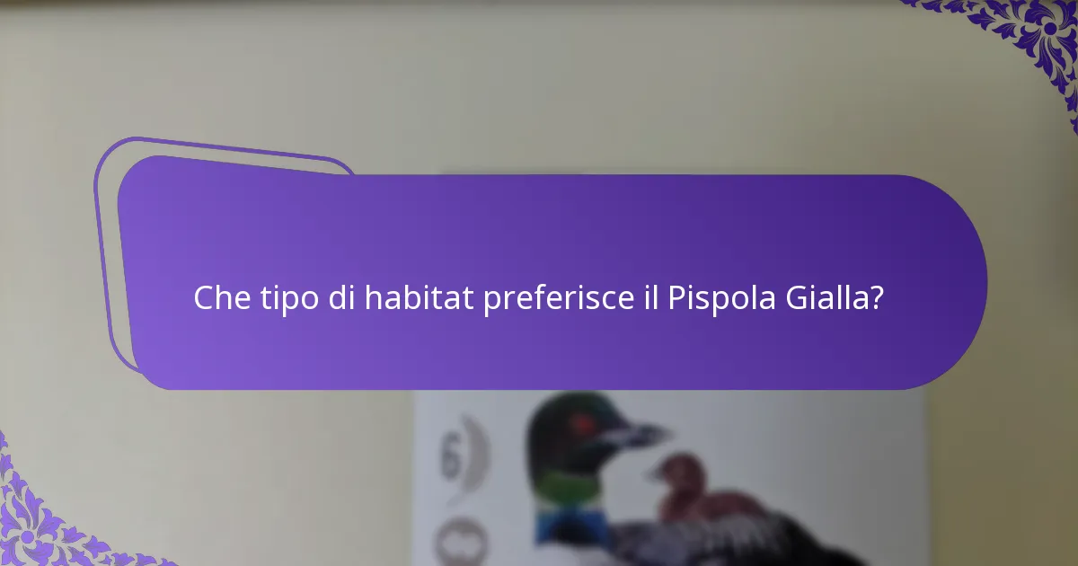 Che tipo di habitat preferisce il Pispola Gialla?