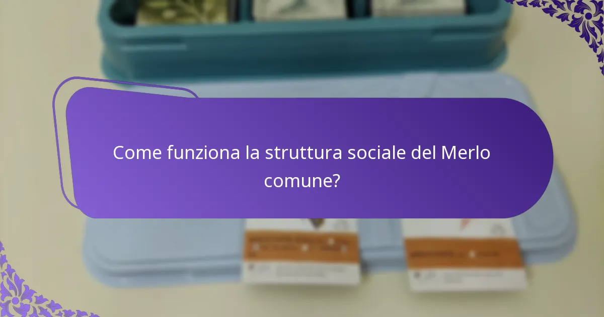 Come funziona la struttura sociale del Merlo comune?