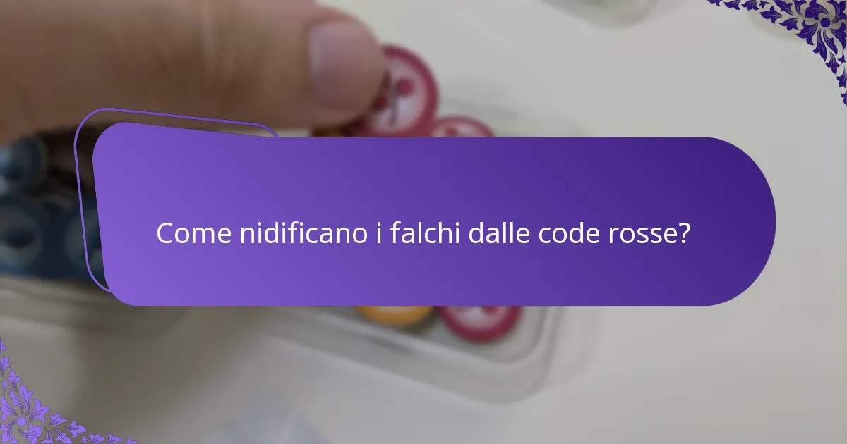 Dove vivono i falchi dalle code rosse?
