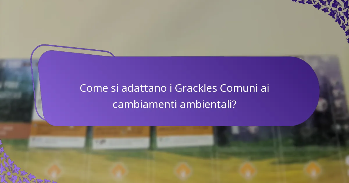 Quali habitat preferiscono i Grackles Comuni?