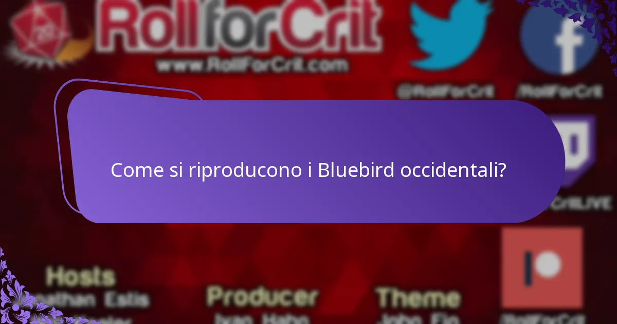 Cosa mangia il Bluebird occidentale?