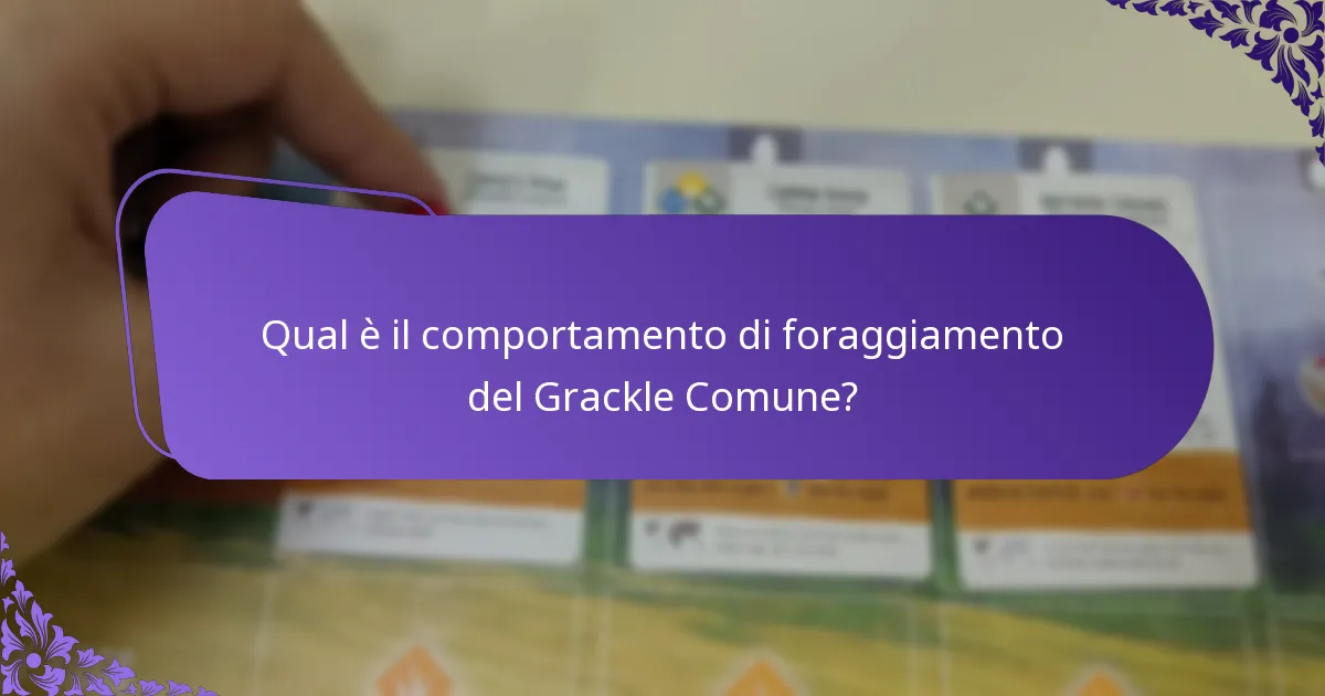 Quali sono le abitudini riproduttive del Grackle Comune?