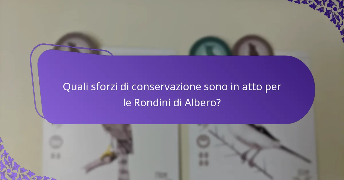 Quali sforzi di conservazione sono in atto per le Rondini di Albero?
